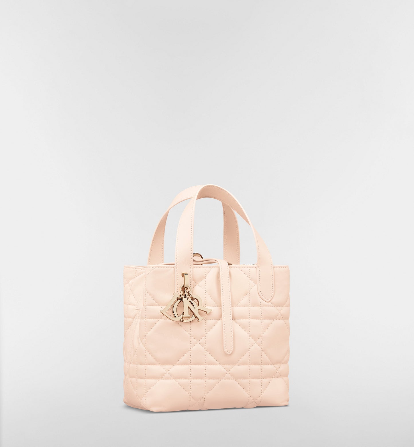 Macrocannage Calfskin Small Toujours Vertical Tote Bag