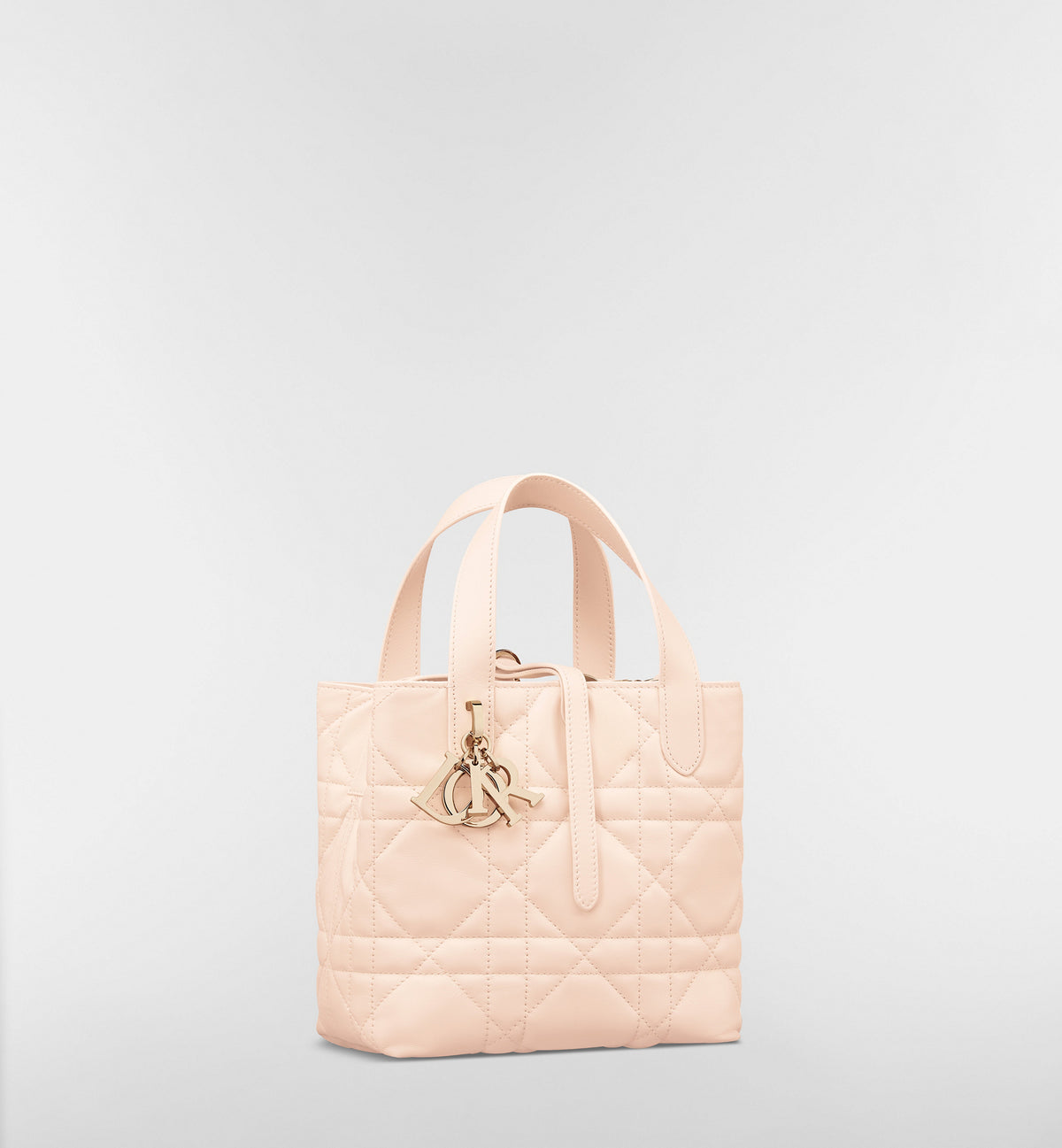 Macrocannage Calfskin Small Toujours Vertical Tote Bag