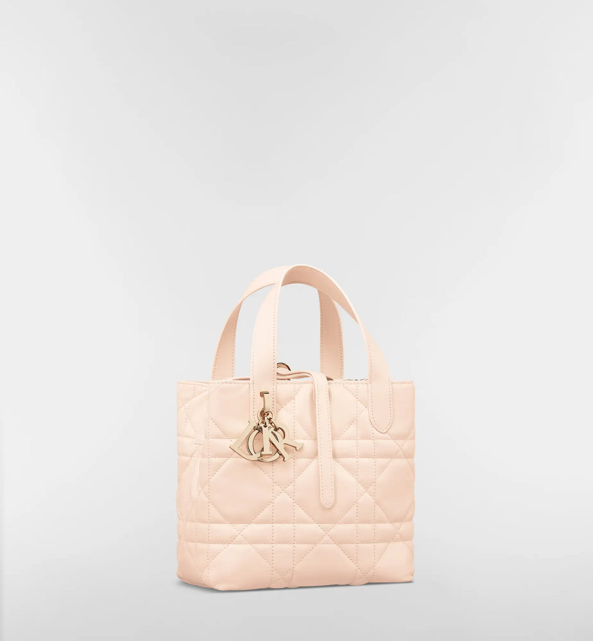 Macrocannage Calfskin Small Toujours Vertical Tote Bag