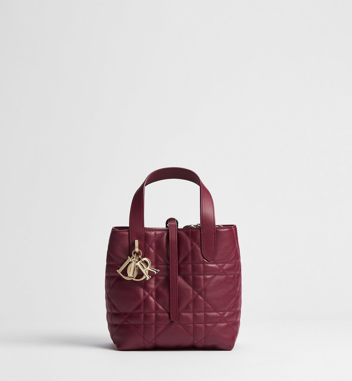 Macrocannage Calfskin Small Toujours Vertical Tote Bag