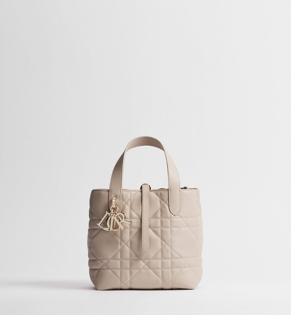 Macrocannage Calfskin Small Toujours Vertical Tote Bag