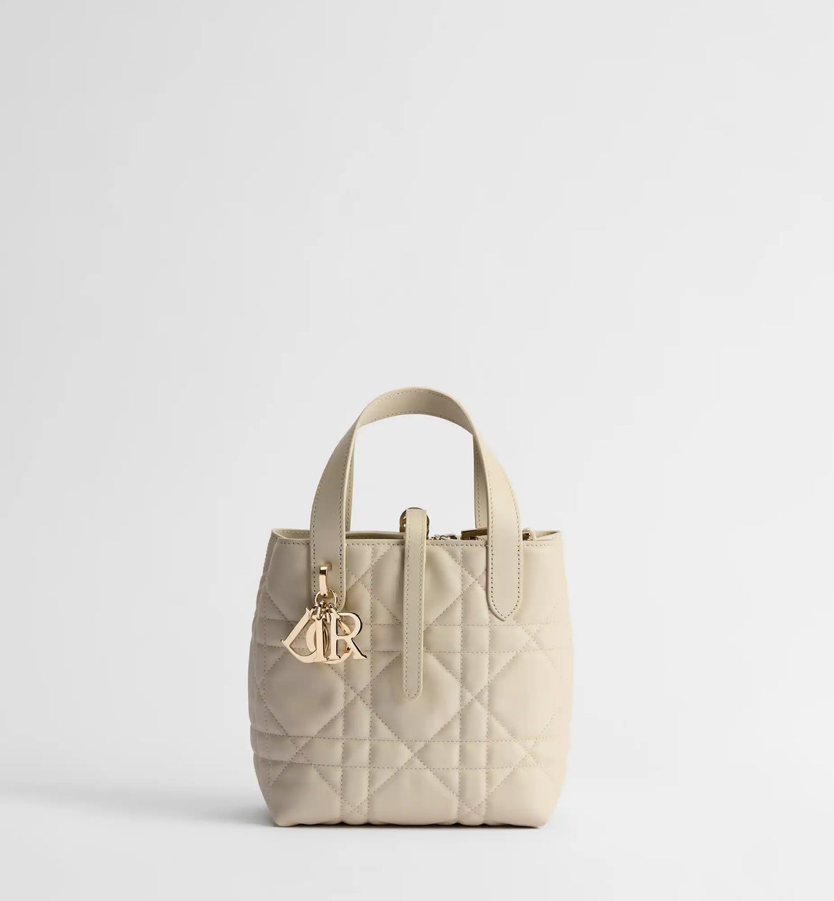 Macrocannage Calfskin Small Toujours Vertical Tote Bag
