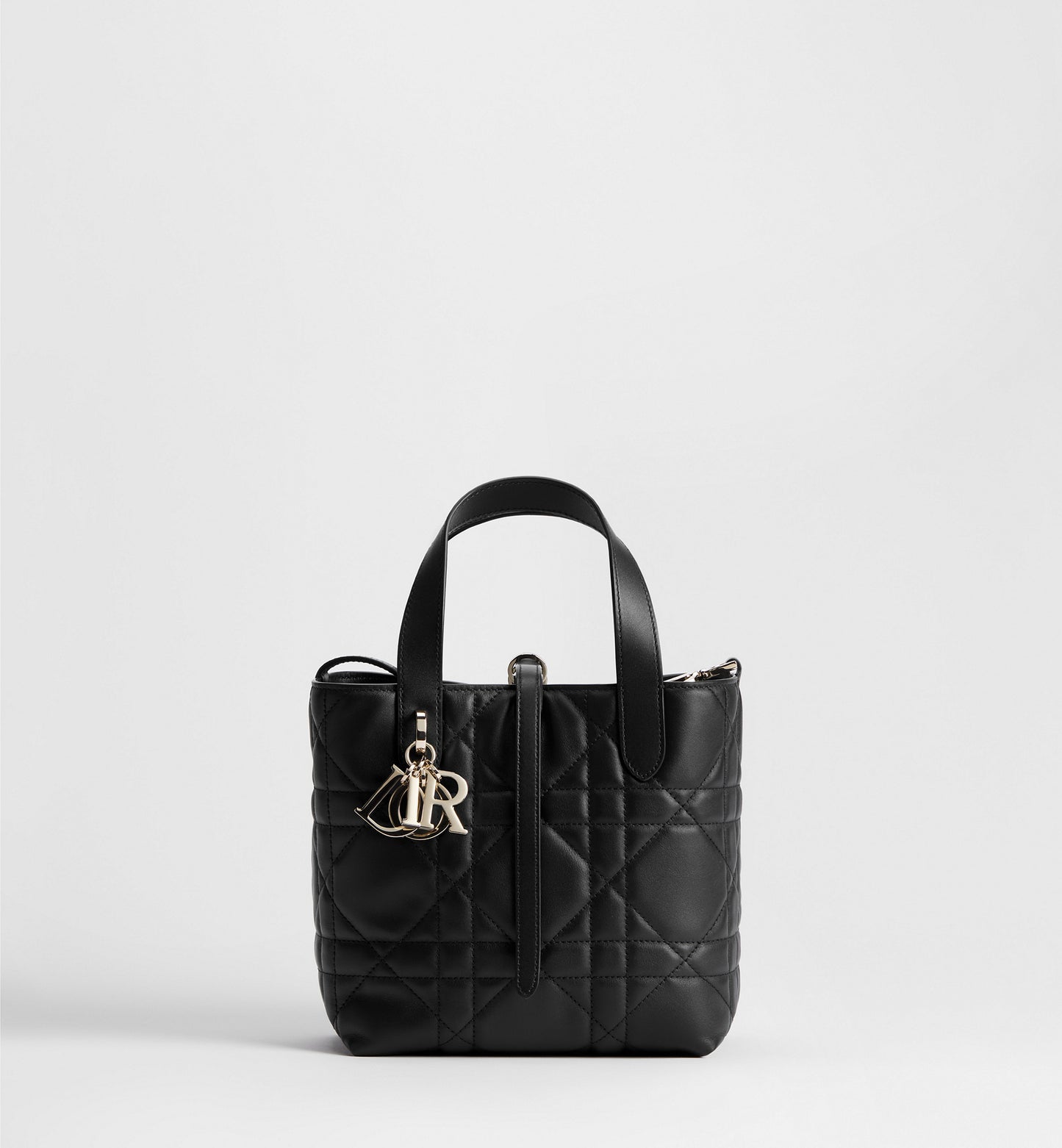Macrocannage Calfskin Small Toujours Vertical Tote Bag