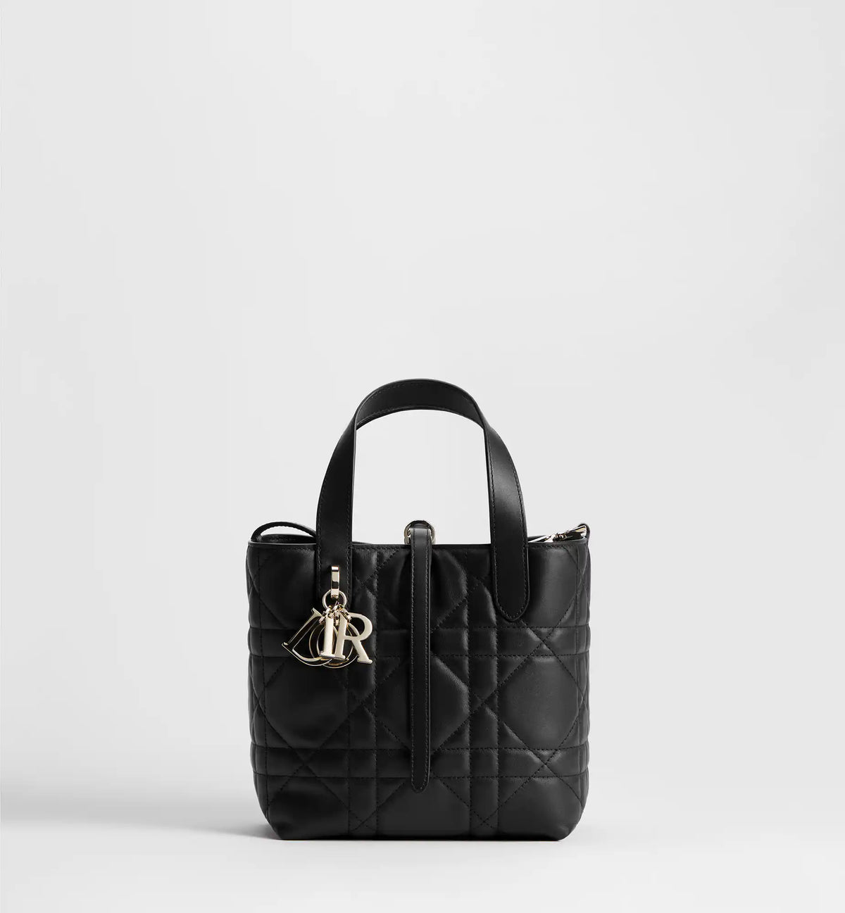 Macrocannage Calfskin Small Toujours Vertical Tote Bag