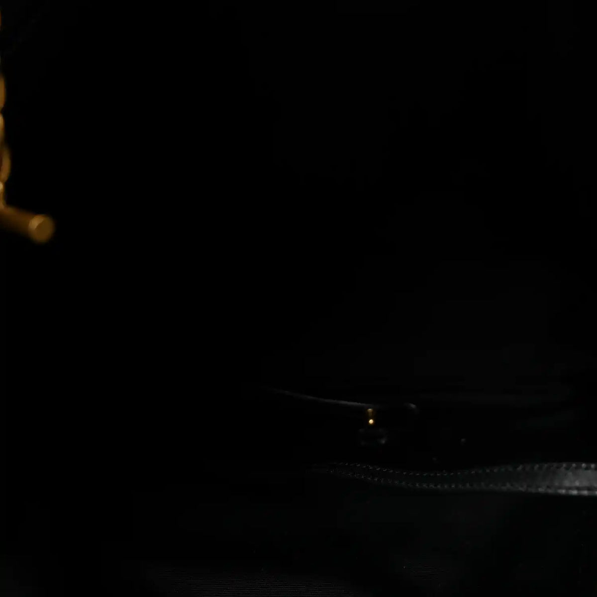 Black interior showing zipper track and a small leather lining tag.