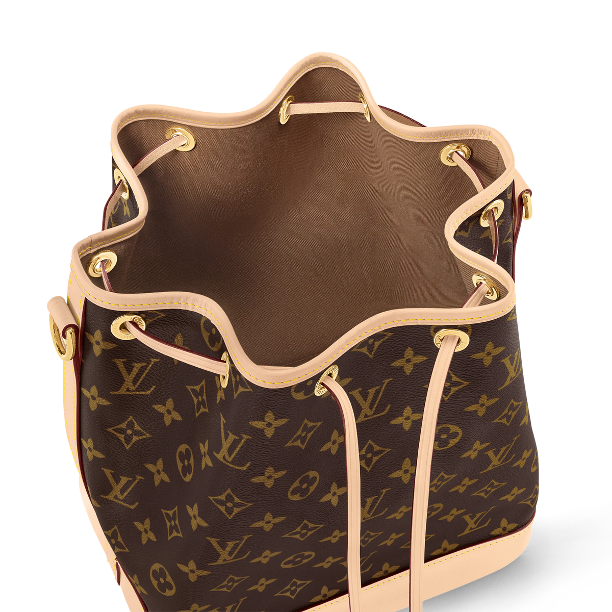 Noé Bucket Bag Monogram Coated Canvas