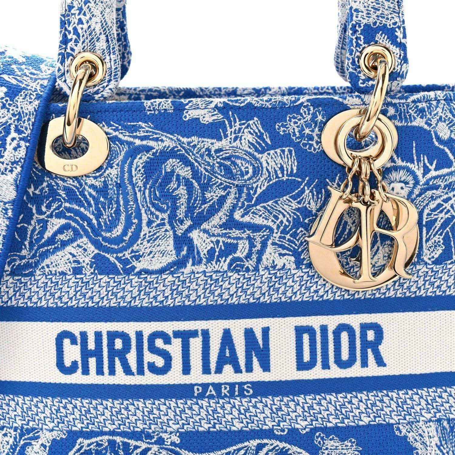 Christian Dior blue toile handbag front with gold-tone rings and Dior logo stripe