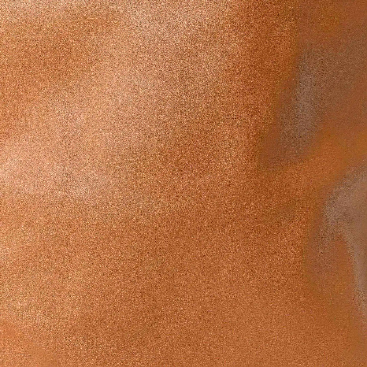 Warm tan calfskin leather bag surface with visible grain texture.