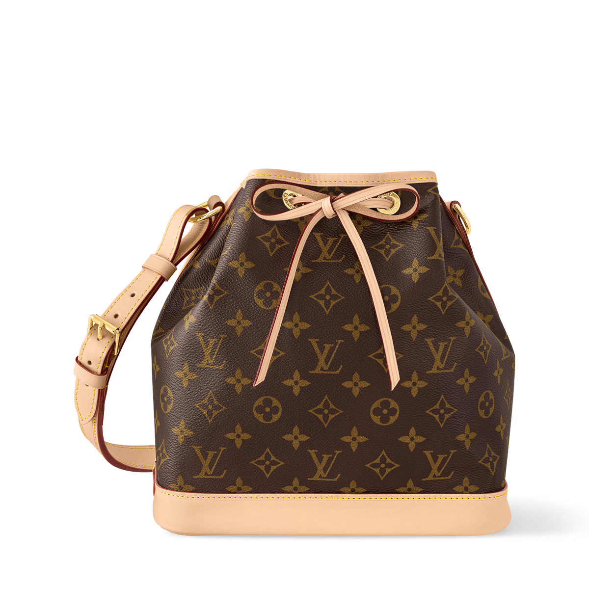 Noé Bucket Bag Monogram Coated Canvas
