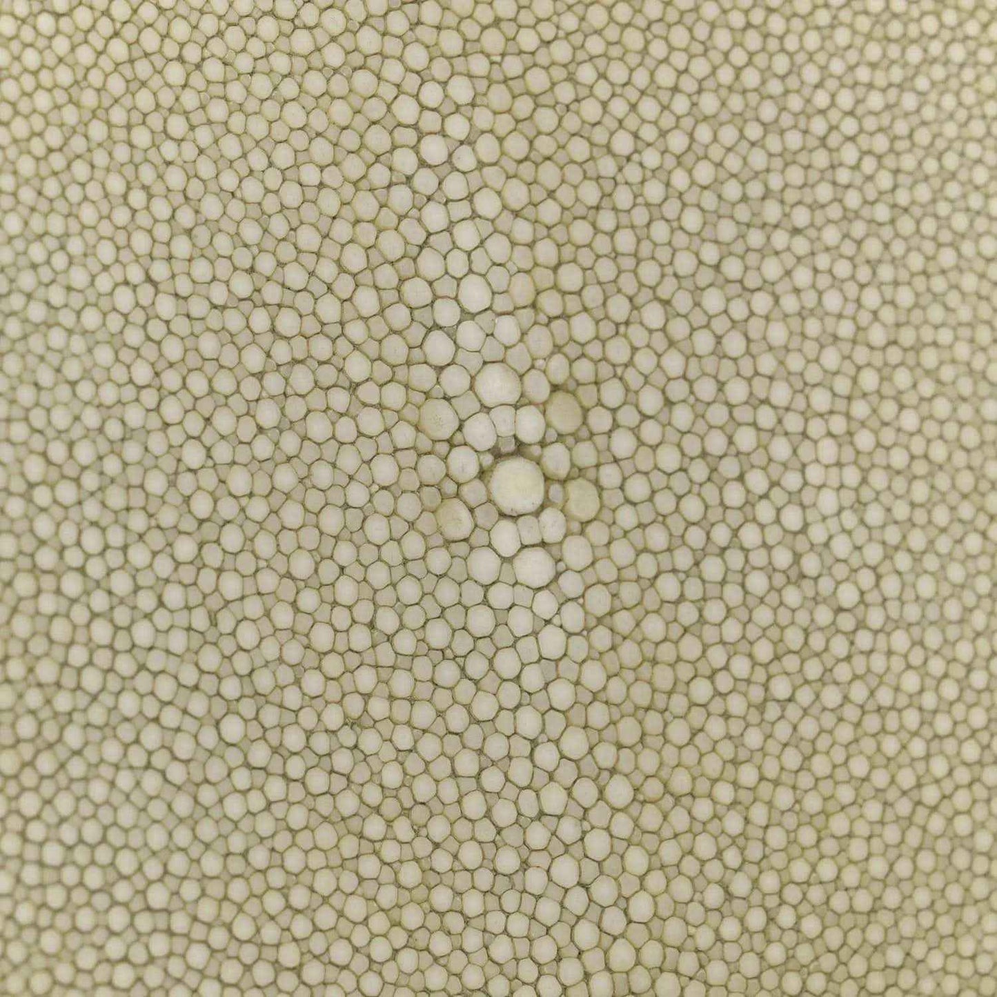 Green stingray nappa leather texture close-up