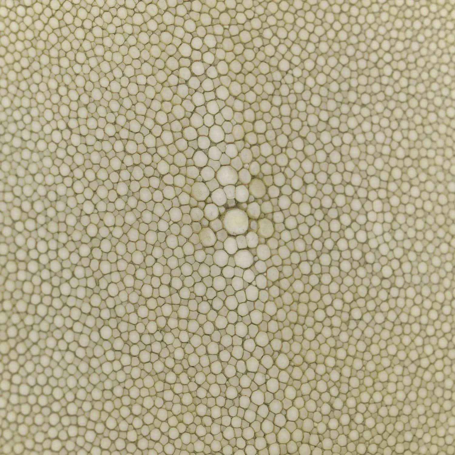 Green stingray nappa leather texture close-up