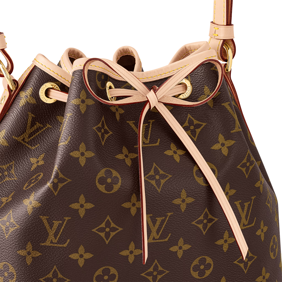 Noé Bucket Bag Monogram Coated Canvas