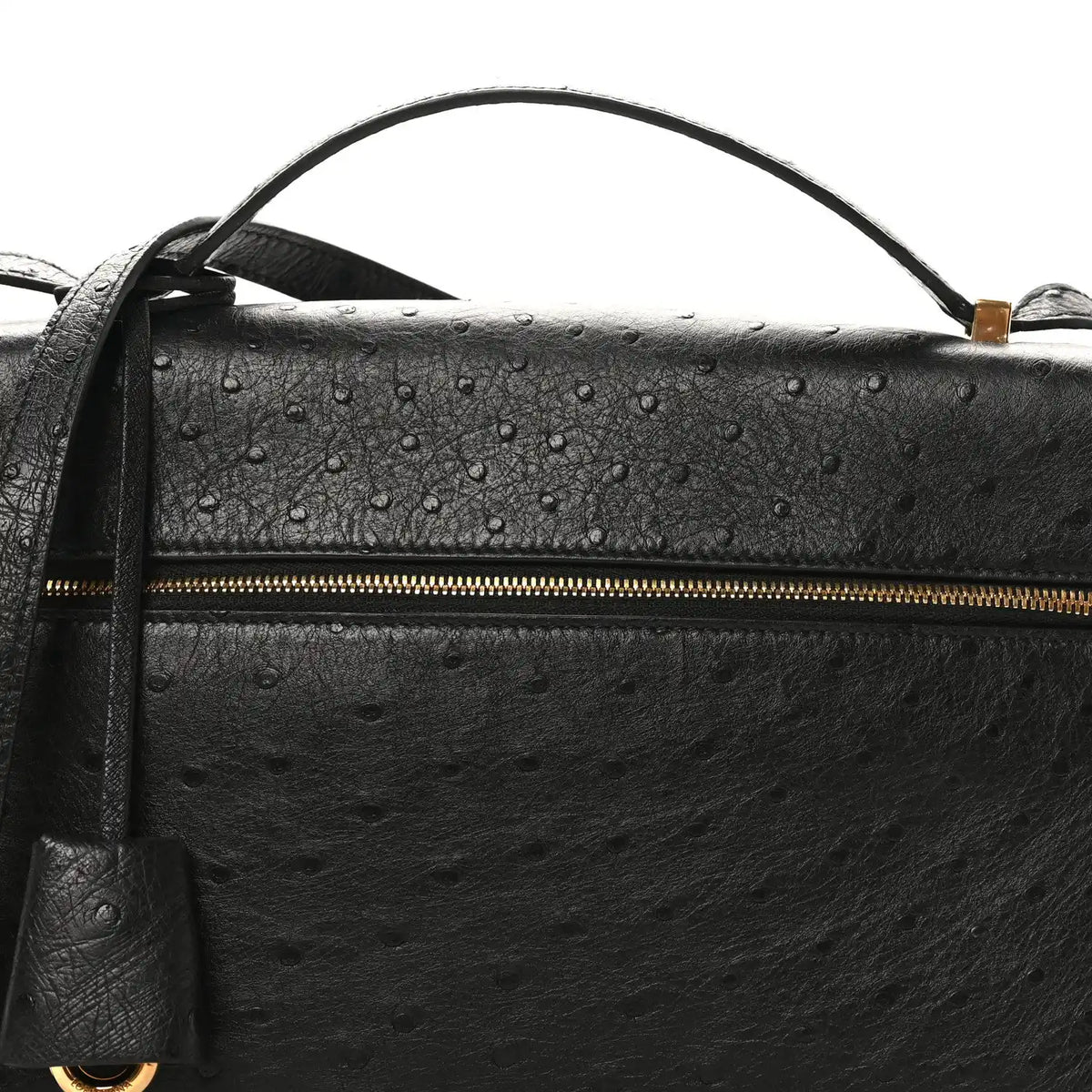 Black ostrich leather bag front with textured finish and long gold zipper.