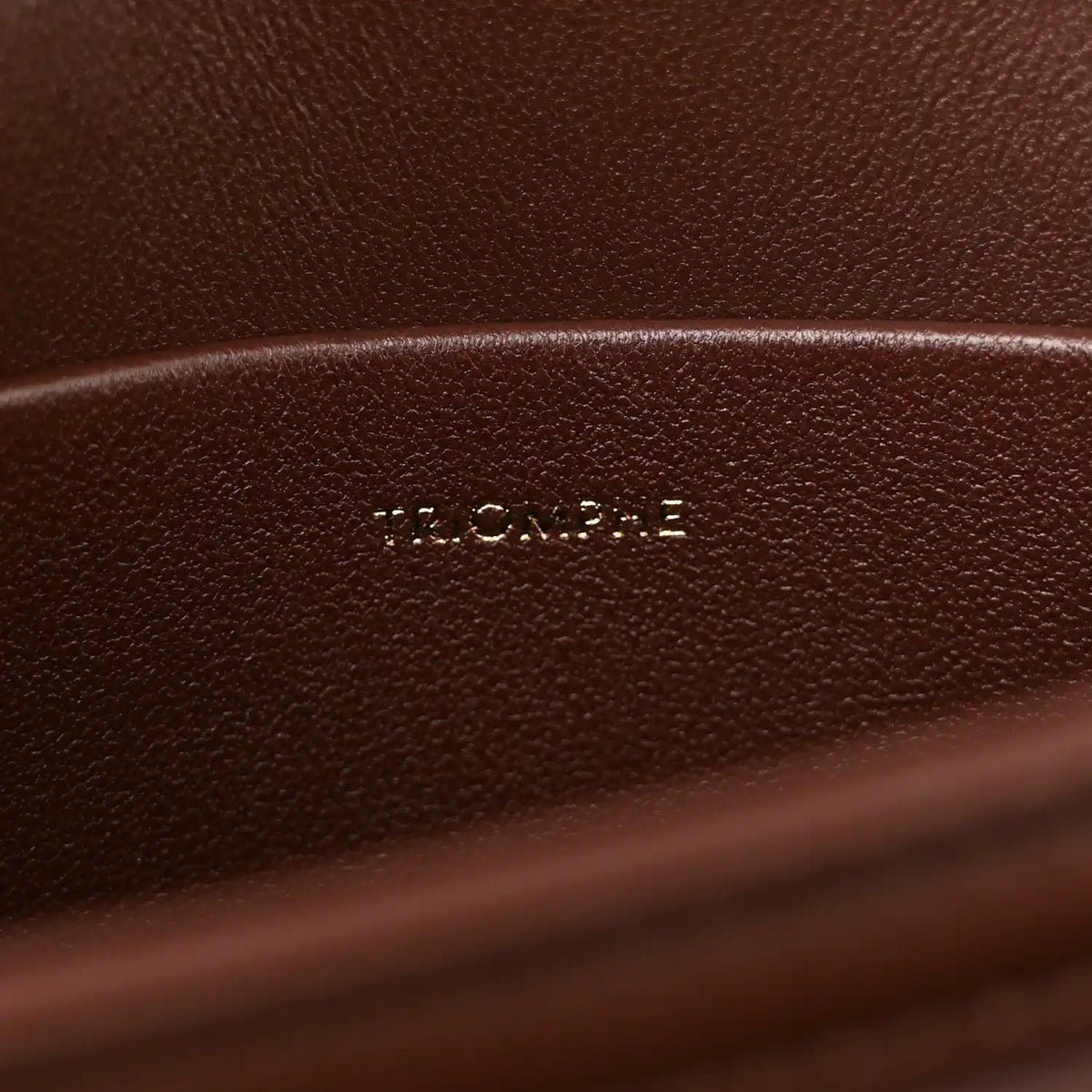 Dark chestnut leather interior with embossed CELINE logo