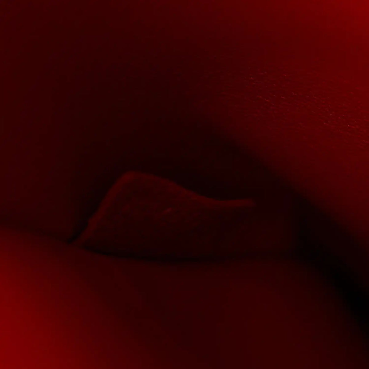 Red leather bag interior close-up, dark interior lining