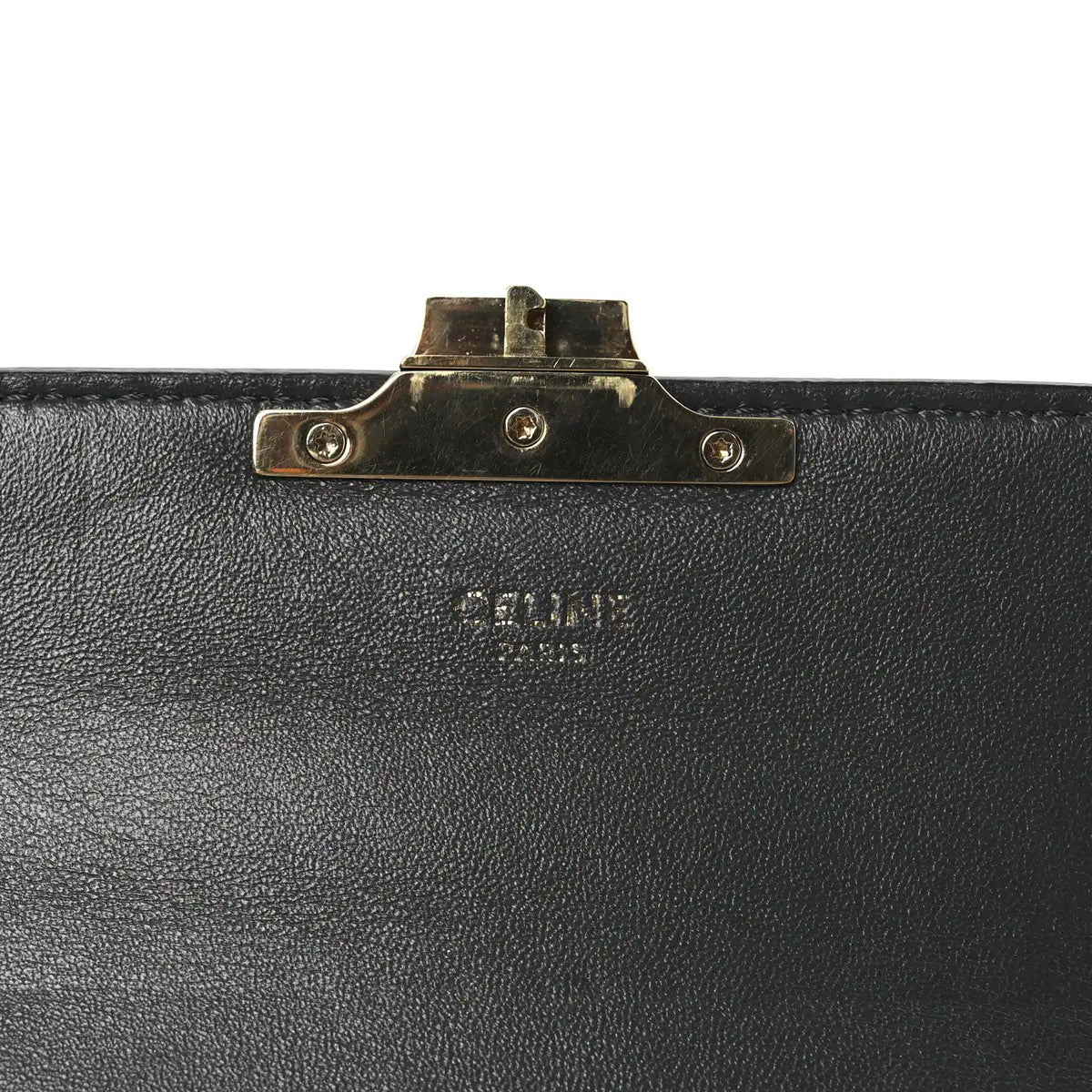 Back of grey snakeskin bag with gold-tone hinge hardware and clasp mount