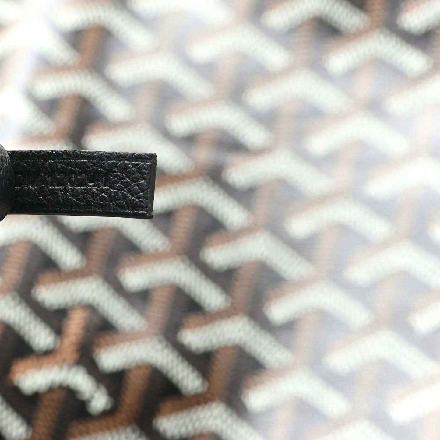 Goyardine monogram canvas close-up in classic black with light geometric pattern