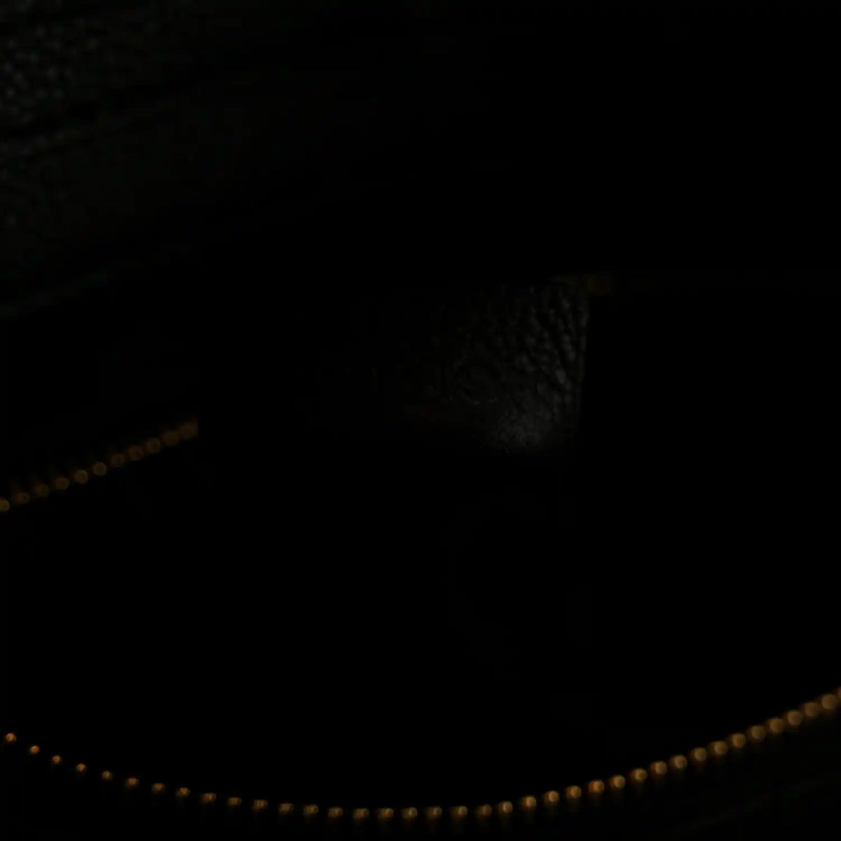 Black interior with gold-trim zipper opening