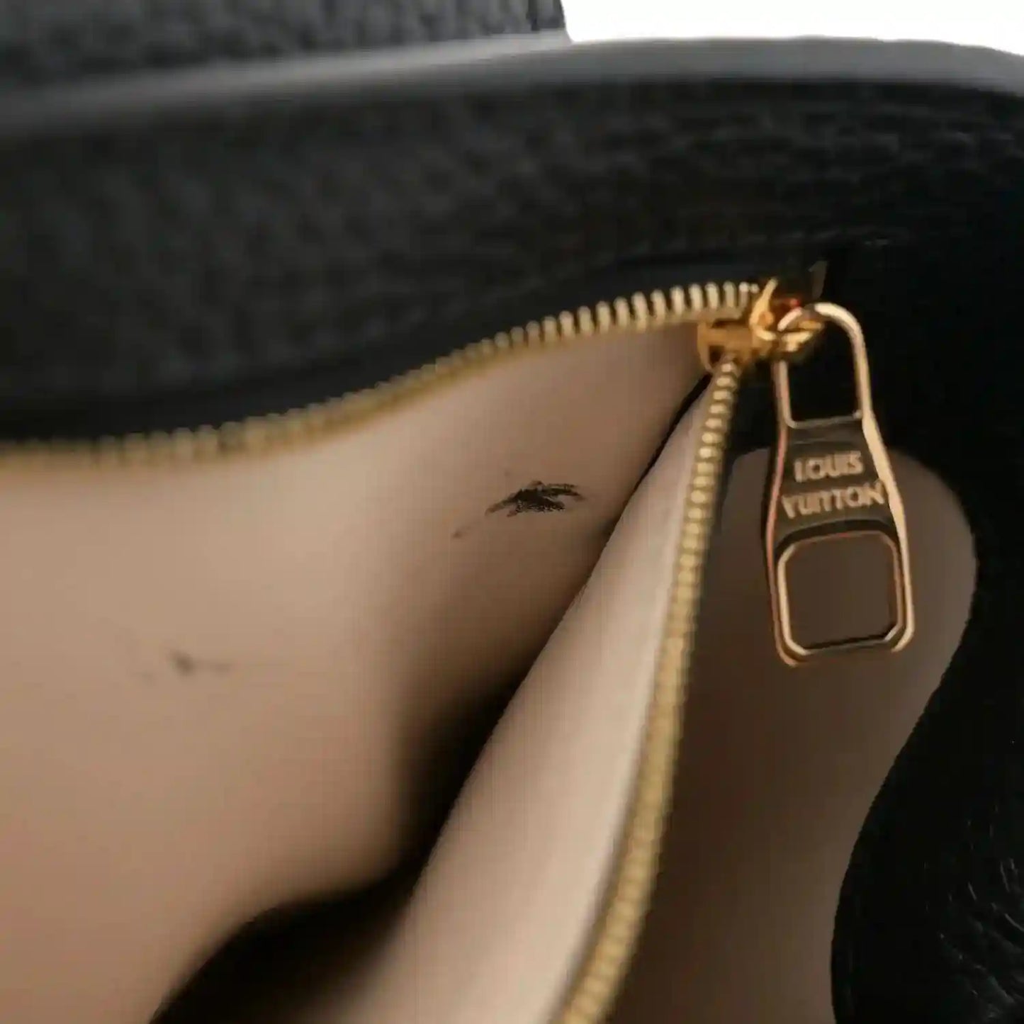Louis Vuitton small handbag interior with beige lining and gold zipper pull