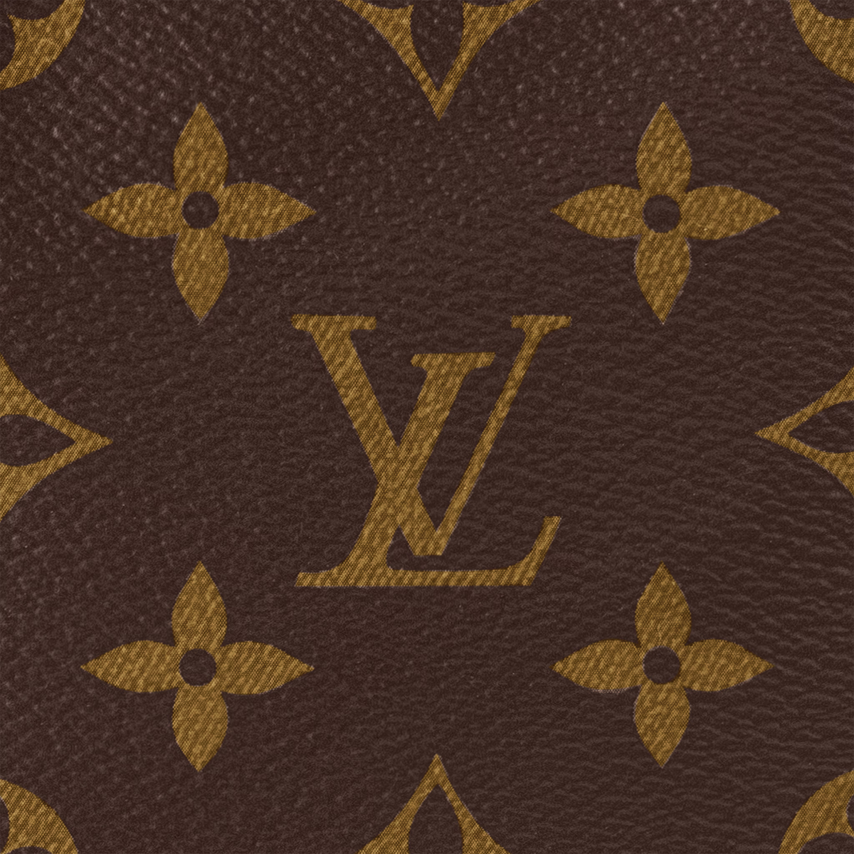 Noé Bucket Bag Monogram Coated Canvas