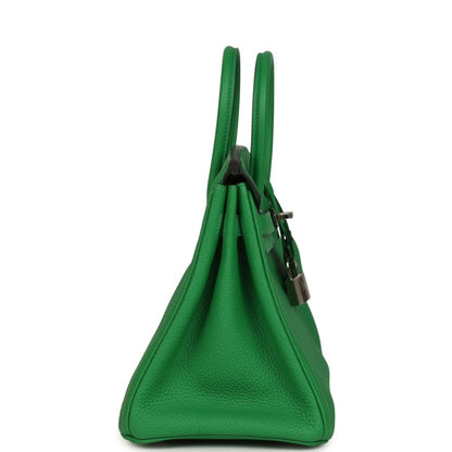 Hermes Birkin 25 green leather handbag side view with structured body and handles