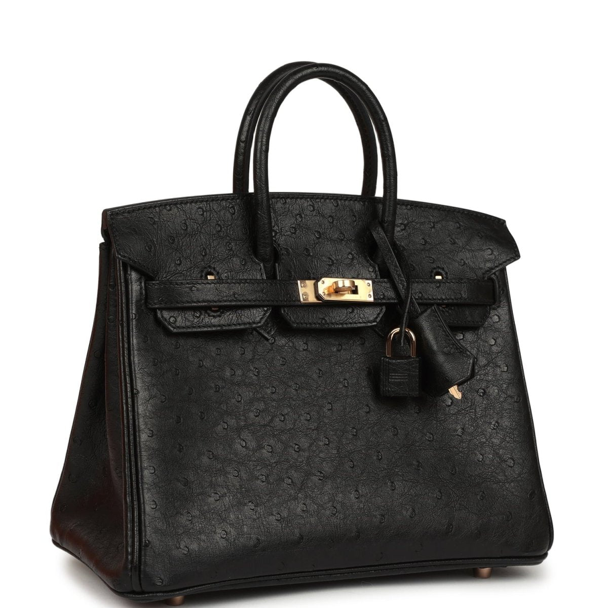 Hermes Birkin 25 handbag, black ostrich leather, side profile with rose gold hardware