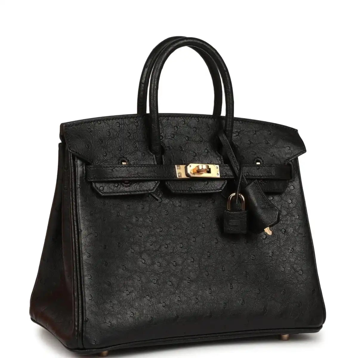 Hermes Birkin 25 handbag, black ostrich leather, side profile with rose gold hardware