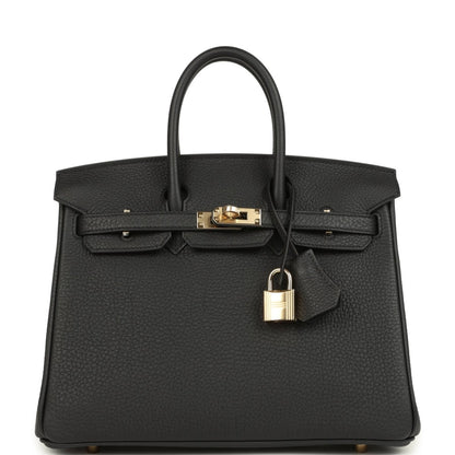 Black Birkin 25 handbag with front flap, gold-tone lock, and textured leather