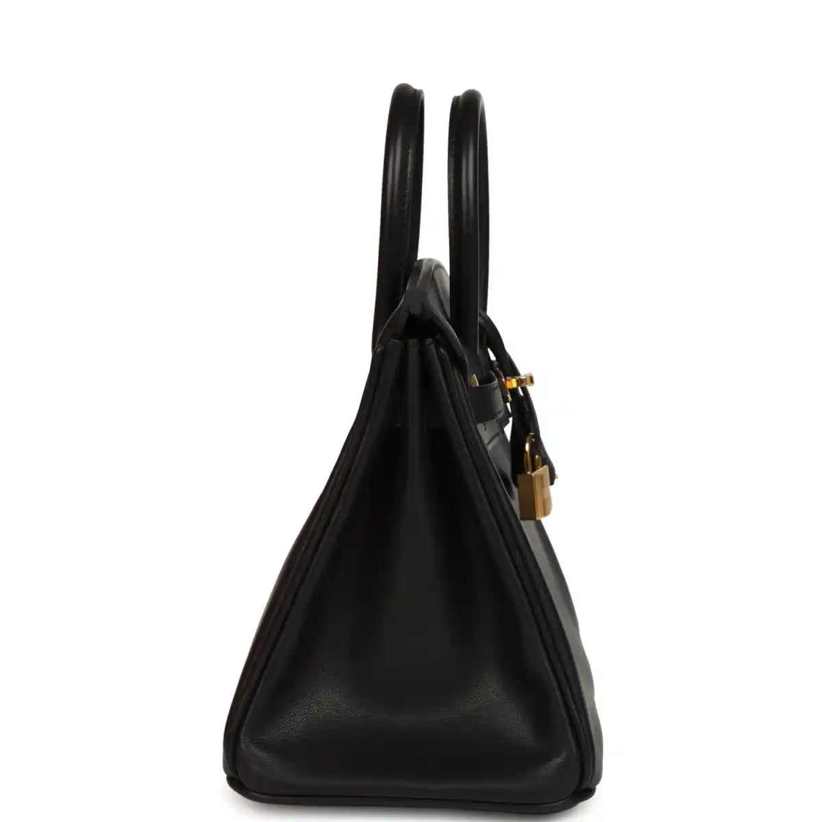 Black leather Birkin 25 handbag side profile with gold hardware and handles