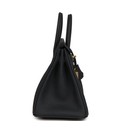 Black leather Birkin-style handbag side view with top handles and gold hardware accents