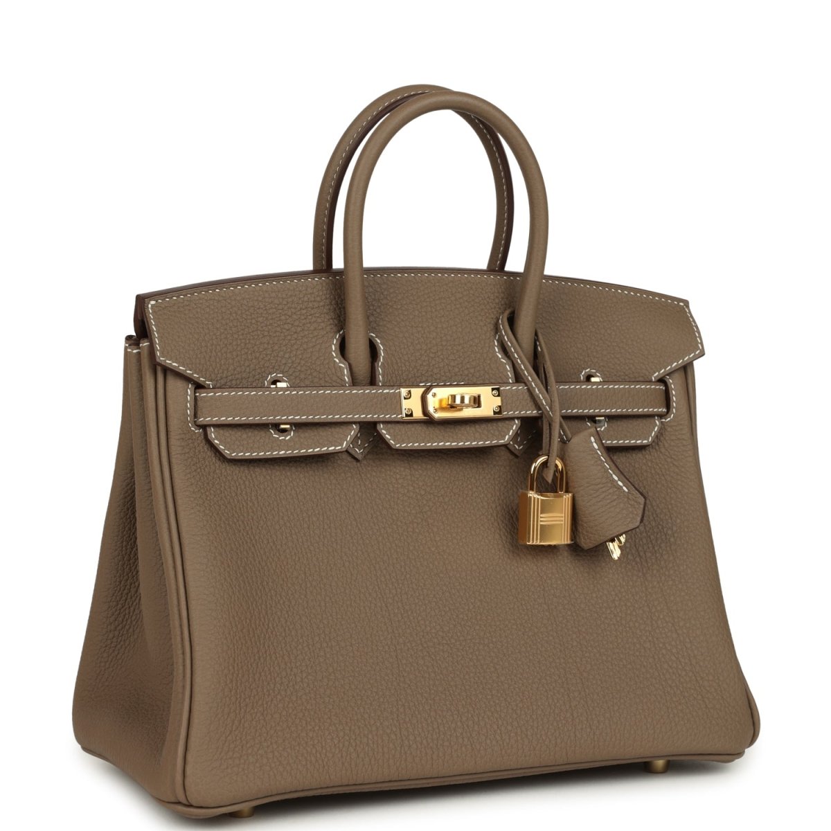 Hermès Birkin 25 handbag side view: top handles, gold clasp hardware, leather tassel