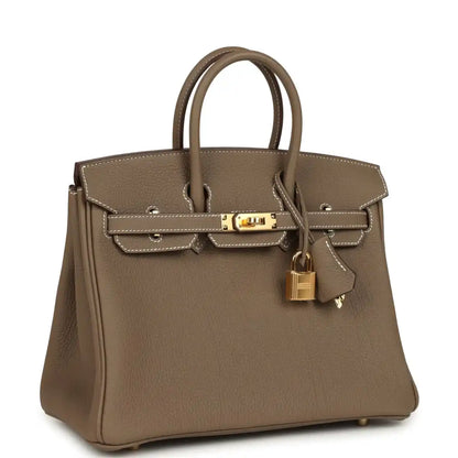 Hermès Birkin 25 handbag side view: top handles, gold clasp hardware, leather tassel