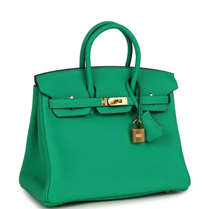 Menthe green Birkin 25 handbag with gold-tone lock, front flap, and top handles