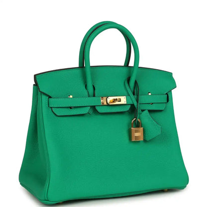 Menthe green Birkin 25 handbag with gold-tone lock, front flap, and top handles