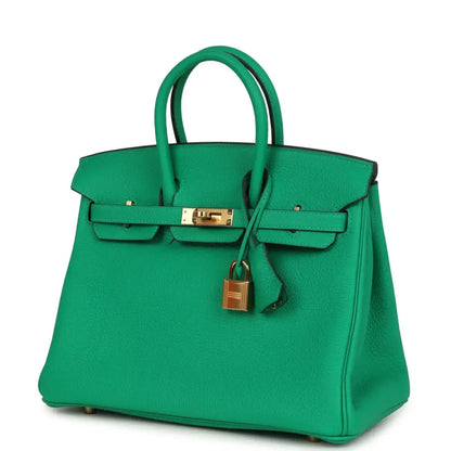 Menthe green Togo leather Birkin 25 handbag with gold-tone hardware and top handles