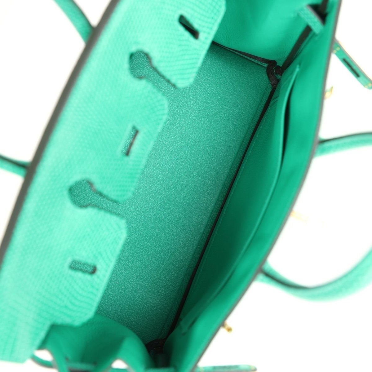 Mint green lizard handbag interior with partial stamp and side strap