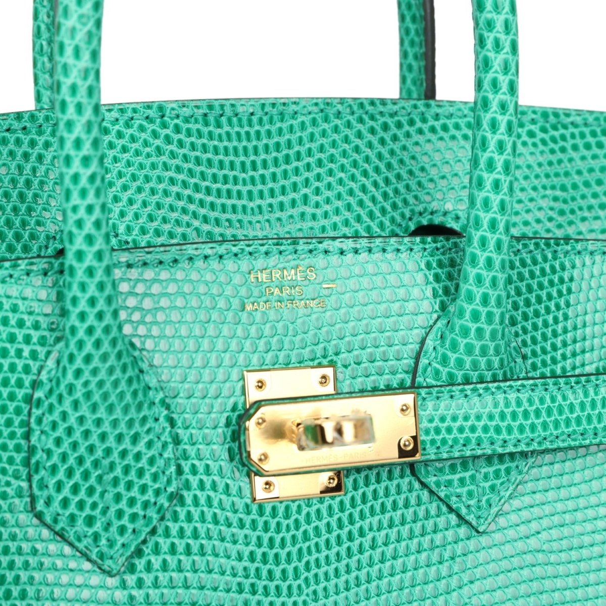 Hermes Paris stamped lizard handbag flap with gold-tone lock hardware