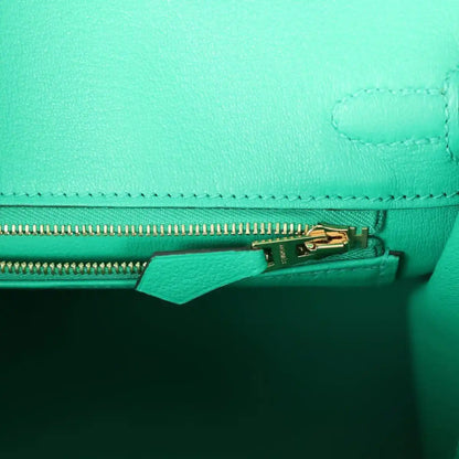 Mint green lizard handbag interior pocket with gold zipper and leather tab
