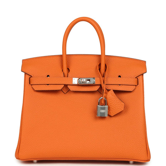 Orange leather Birkin 25 handbag with top handles, front flap, and silver-tone clasp