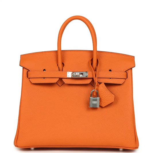 Orange leather Birkin 25 handbag with top handles, front flap, and silver-tone clasp