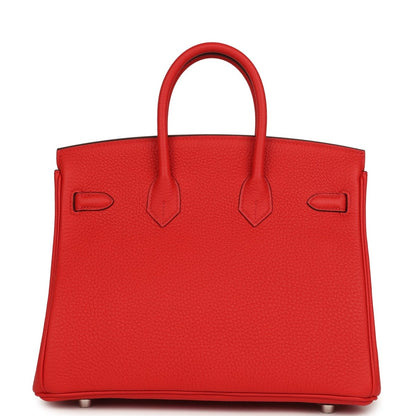 Red Hermes Birkin 25 handbag back view with two straps and metal feet
