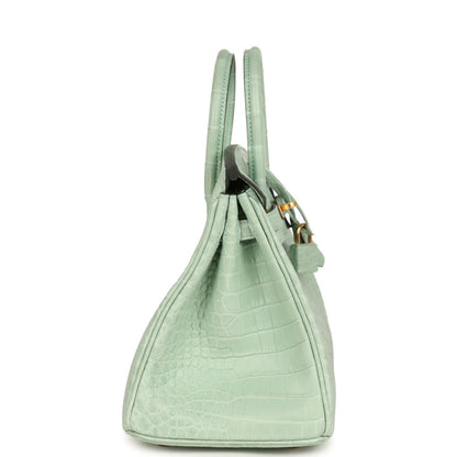 Light green croc-embossed handbag with twin handles, side profile, and front turn-lock