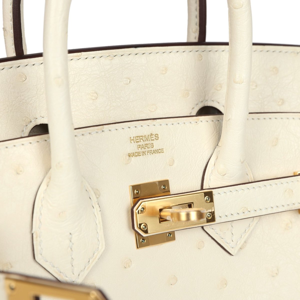 Nata ostrich handbag front lock with 'Hermes Paris' label and gold-tone hardware plate.