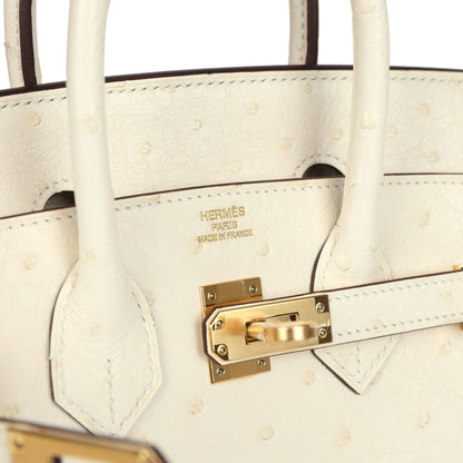 Nata ostrich handbag front lock with 'Hermes Paris' label and gold-tone hardware plate.
