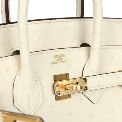 Nata ostrich handbag front lock with 'Hermes Paris' label and gold-tone hardware plate.