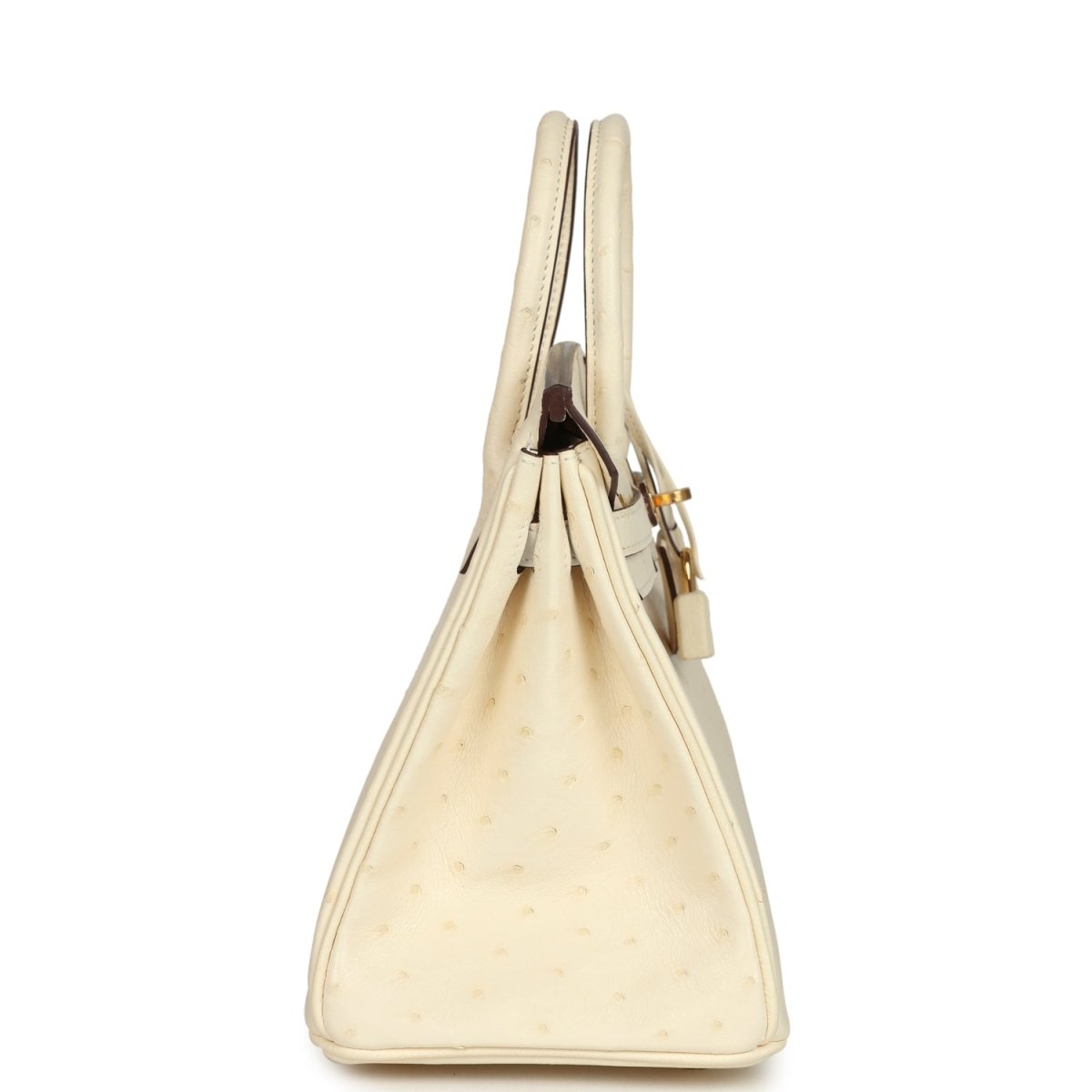 Nata ostrich handbag side view with top handles, gold-tone hardware, and hanging strap.
