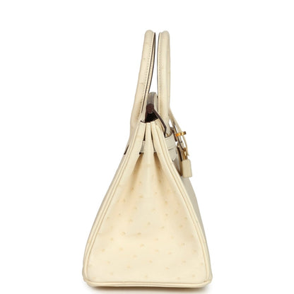 Nata ostrich handbag side view with top handles, gold-tone hardware, and hanging strap.