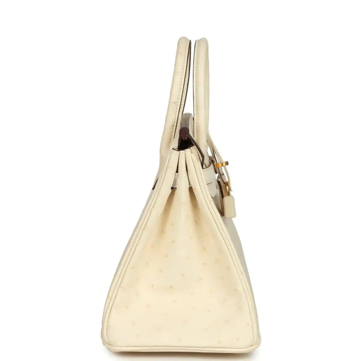 Nata ostrich handbag side view with top handles, gold-tone hardware, and hanging strap.
