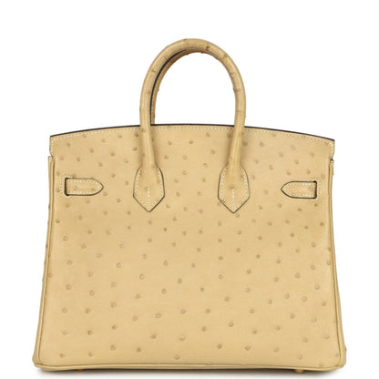 Tan ostrich leather handbag front view with top handle and belt-style strap details.