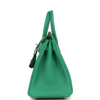 Green Togo leather Birkin 25 handbag back view with top handles and side seams